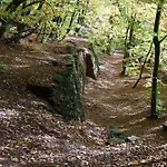 Hotel Waldhotel Schinkenwirt