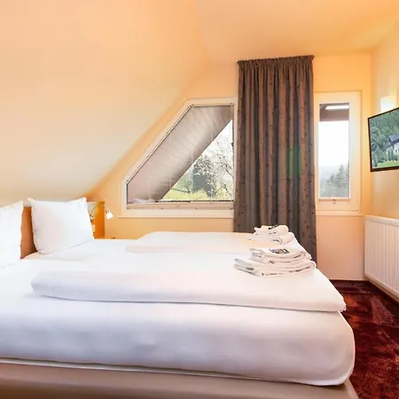 Hotel Waldhotel Schinkenwirt Olsberg