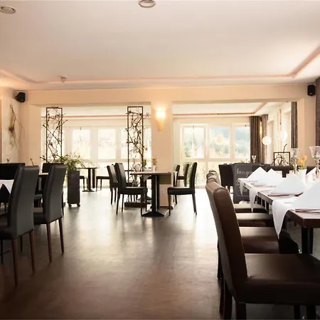 Waldhotel Schinkenwirt 3* Olsberg