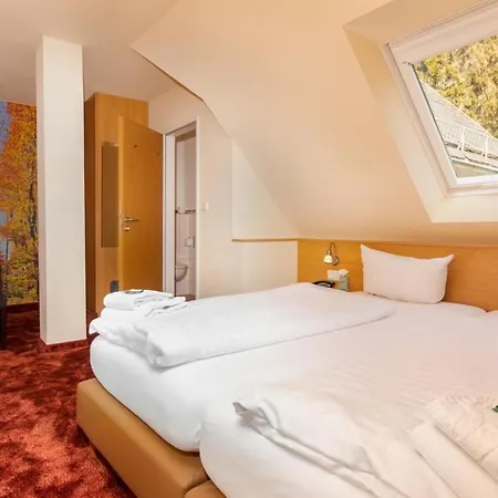 Waldhotel Schinkenwirt Hotel Olsberg