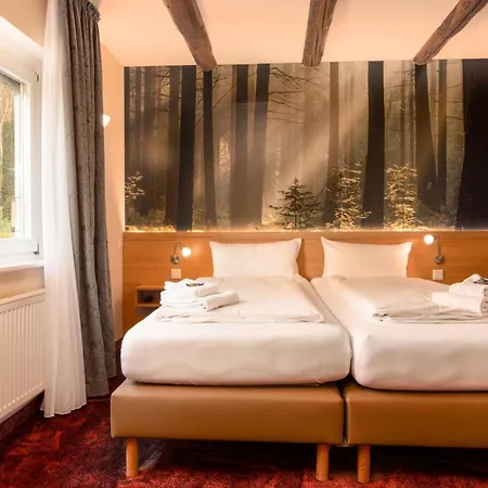Waldhotel Schinkenwirt Hotel 3*