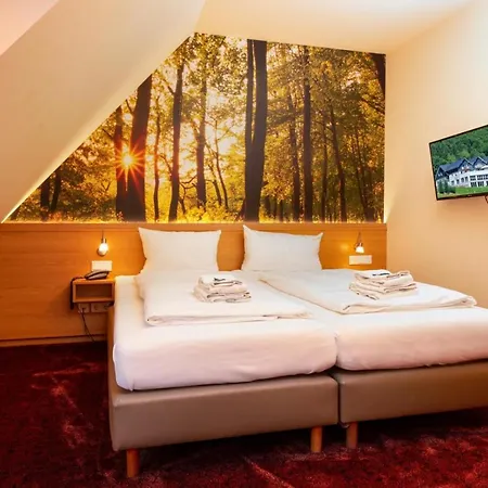 Hotel Waldhotel Schinkenwirt