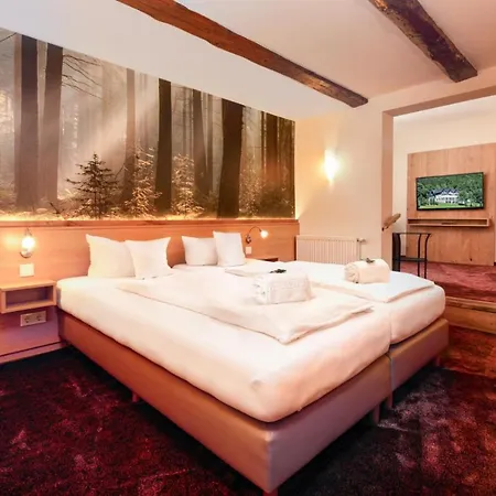 Waldhotel Schinkenwirt اولسبرغ