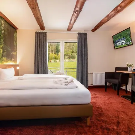 Hotel Waldhotel Schinkenwirt Olsberg