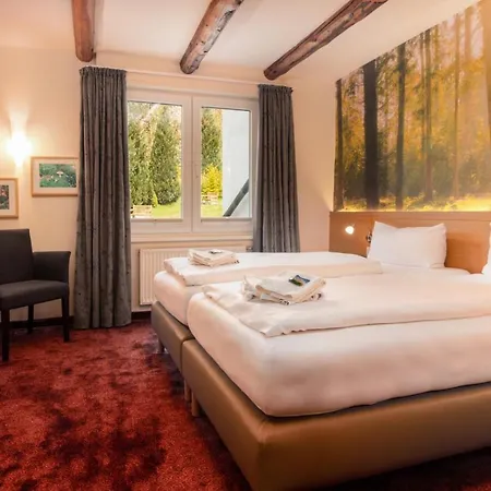 Waldhotel Schinkenwirt Hotel 3*