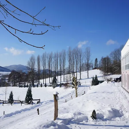 Hotel Waldhotel Schinkenwirt 3*