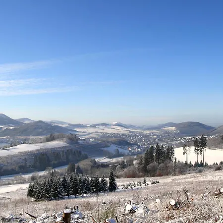 Hotel Waldhotel Schinkenwirt Olsberg