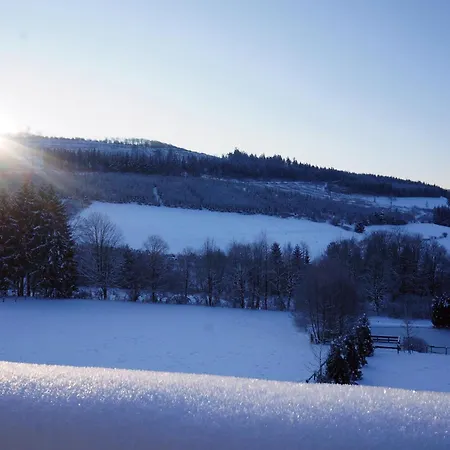 Waldhotel Schinkenwirt Olsberg