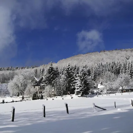 Hotel Waldhotel Schinkenwirt 3*