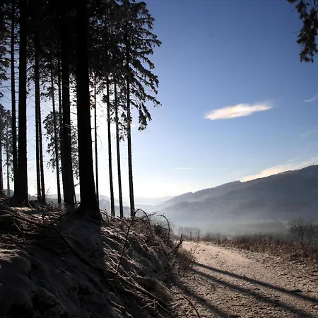 Hotel Waldhotel Schinkenwirt