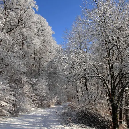 Waldhotel Schinkenwirt