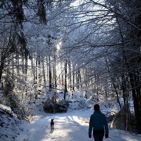 Hotel Waldhotel Schinkenwirt Olsberg