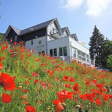 Waldhotel Schinkenwirt 3* Olsberg