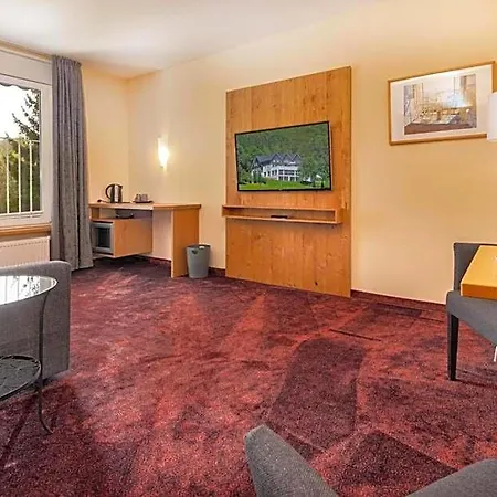 Hotel Waldhotel Schinkenwirt Olsberg