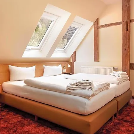 Waldhotel Schinkenwirt 3* Olsberg