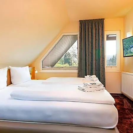 Waldhotel Schinkenwirt 3* Olsberg