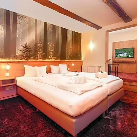 Hotel Waldhotel Schinkenwirt Olsberg