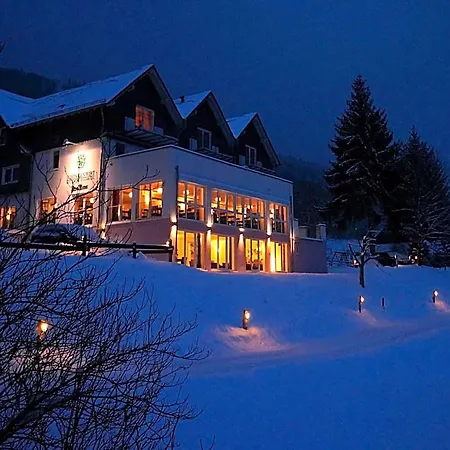 Waldhotel Schinkenwirt Hotel Olsberg
