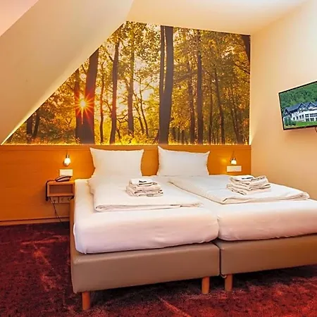 Waldhotel Schinkenwirt Hotel 3*
