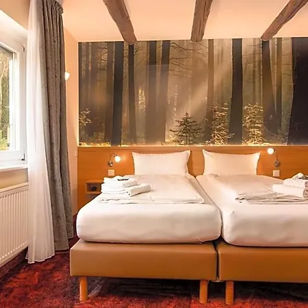 Hotel Waldhotel Schinkenwirt 3*