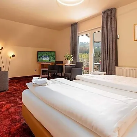 Waldhotel Schinkenwirt 3* Olsberg