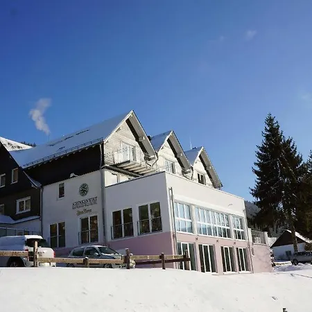 Waldhotel Schinkenwirt 3* Olsberg