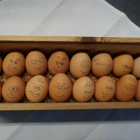 Waldhotel Schinkenwirt 3* Olsberg