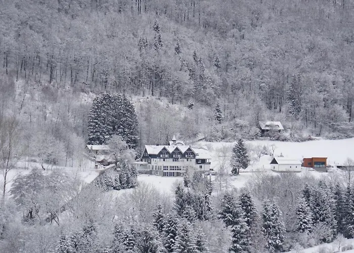 Waldhotel Schinkenwirt 3*