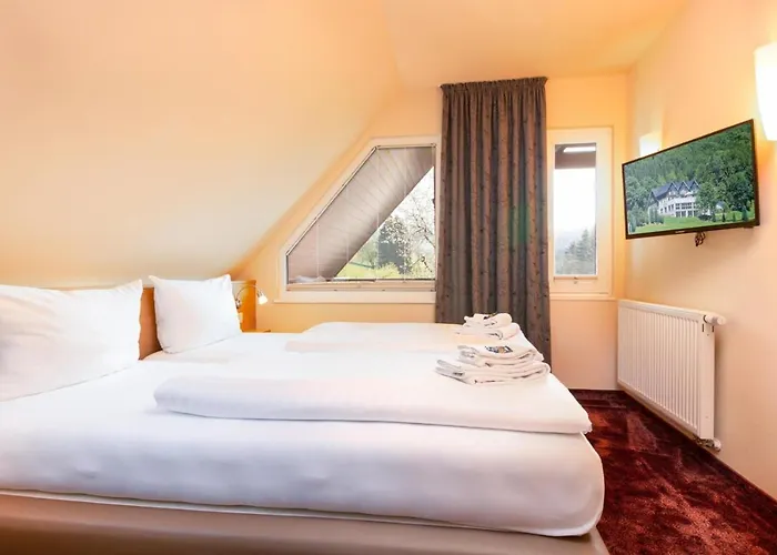 Hotel Waldhotel Schinkenwirt Olsberg