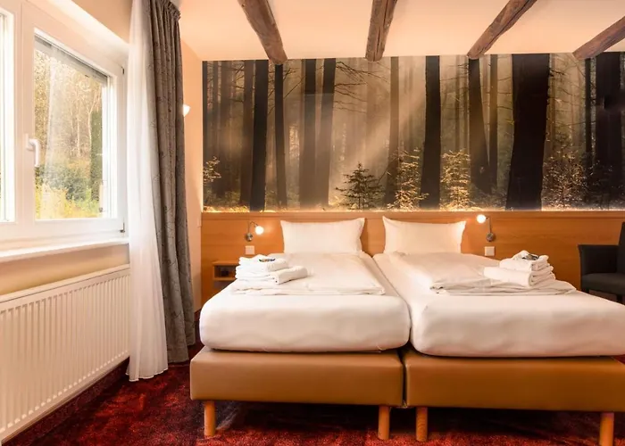 Waldhotel Schinkenwirt Hotel 3*