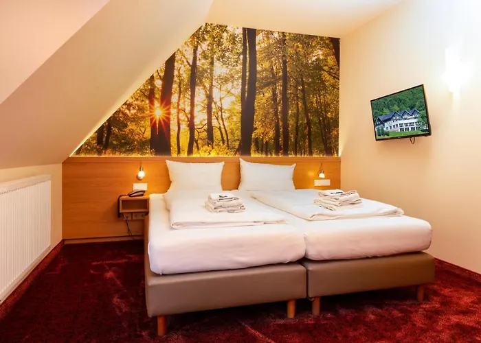 ホテル Waldhotel Schinkenwirt