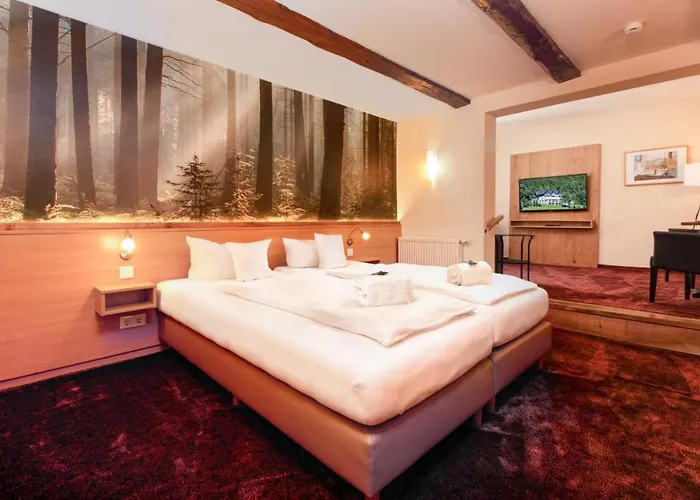 Waldhotel Schinkenwirt Olsberg