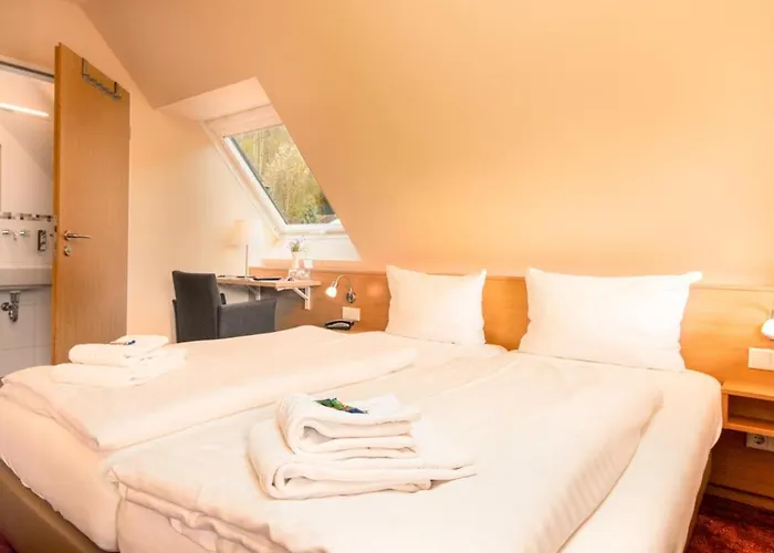 Hotel Waldhotel Schinkenwirt Olsberg