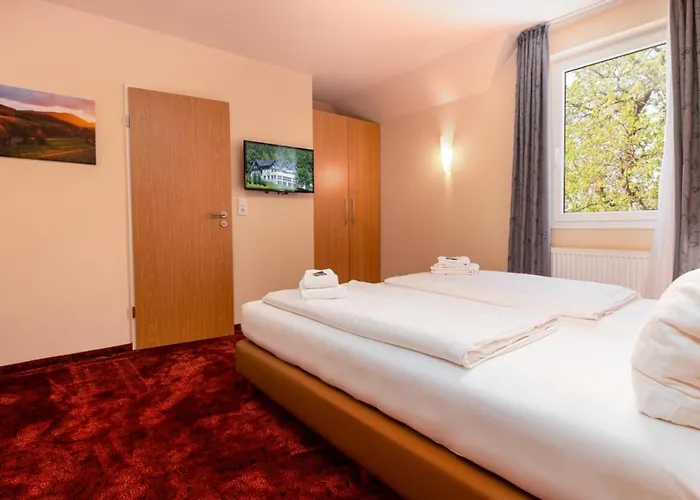 Waldhotel Schinkenwirt Hotel 3*