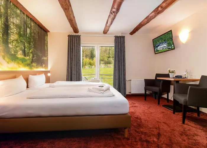 Hotel Waldhotel Schinkenwirt Olsberg