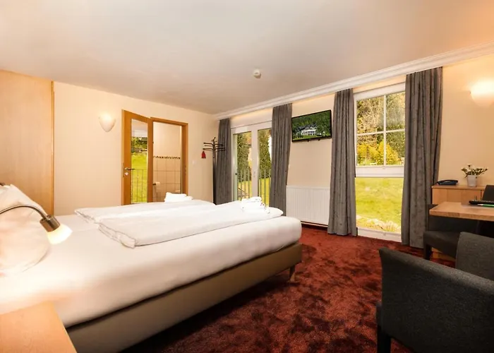 Hotel Waldhotel Schinkenwirt 3*