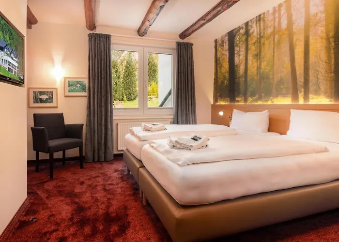 Waldhotel Schinkenwirt Hotel 3*