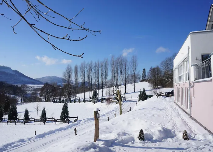 Hotel Waldhotel Schinkenwirt 3*