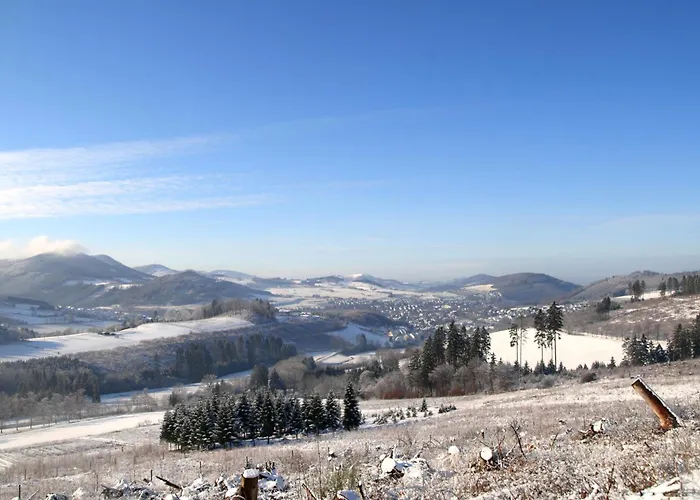 ホテル Waldhotel Schinkenwirt オルスベルク