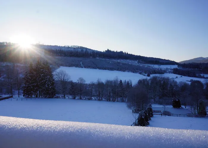 Waldhotel Schinkenwirt オルスベルク