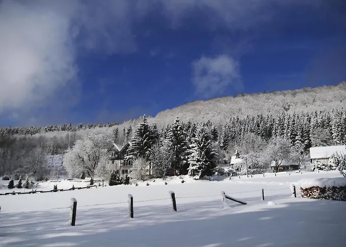 Hotel Waldhotel Schinkenwirt 3*