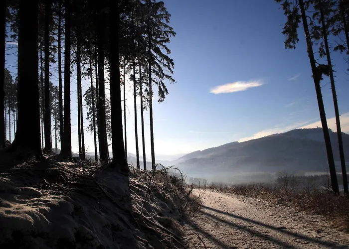 ホテル Waldhotel Schinkenwirt