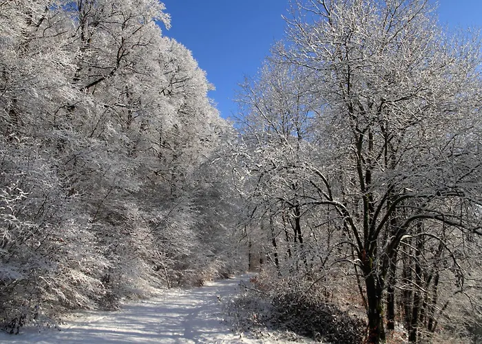 Waldhotel Schinkenwirt