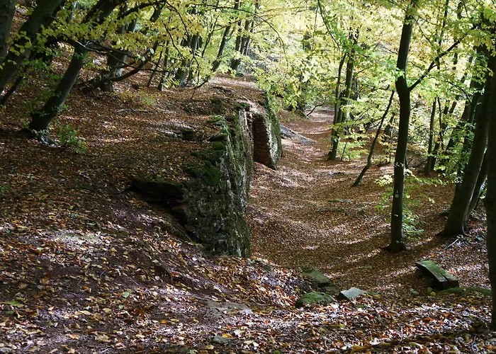 ホテル Waldhotel Schinkenwirt