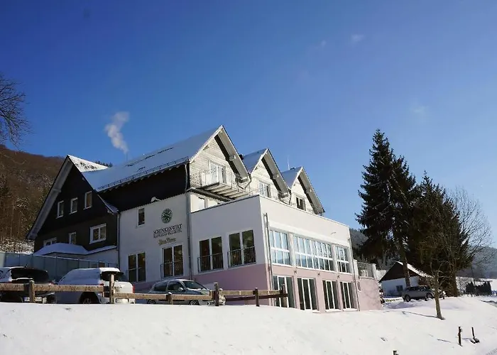 Waldhotel Schinkenwirt 3* Olsberg