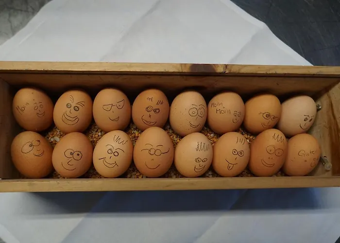 Waldhotel Schinkenwirt 3* オルスベルク